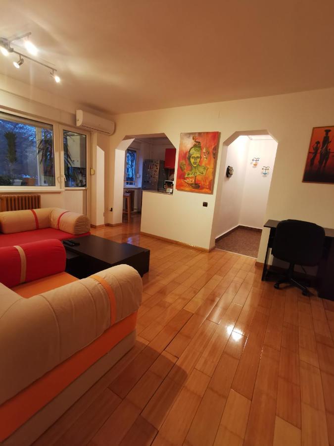 Comfy & Pleasant Apartment 10 Min Walk To Downtown Timisoara Exterior photo