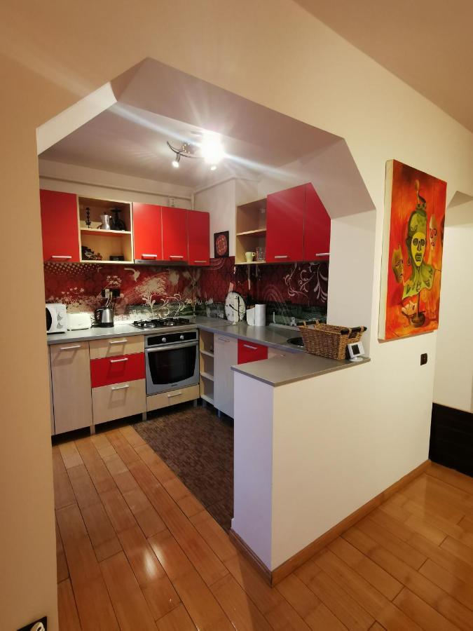 Comfy & Pleasant Apartment 10 Min Walk To Downtown Timisoara Exterior photo