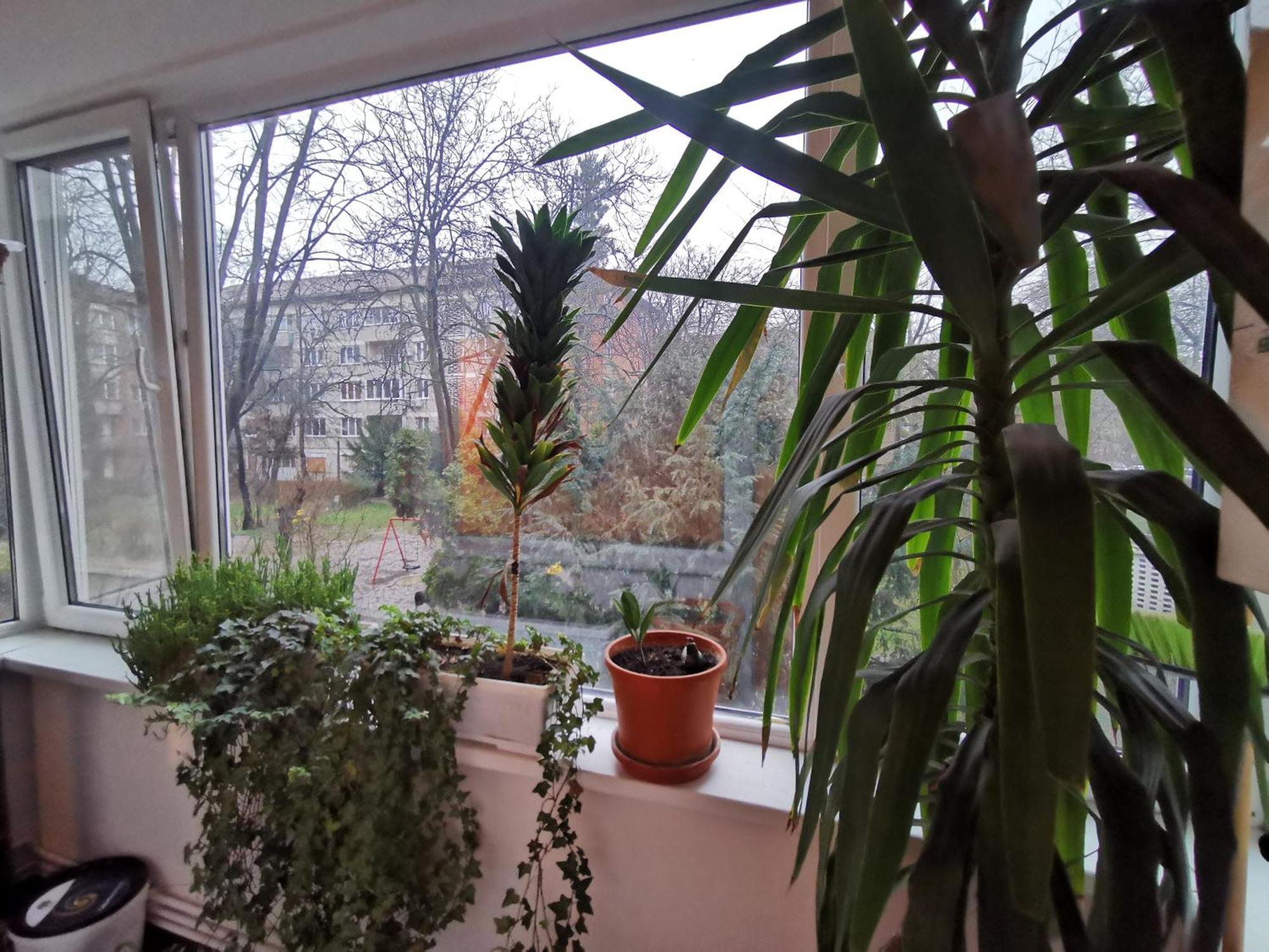 Comfy & Pleasant Apartment 10 Min Walk To Downtown Timisoara Exterior photo